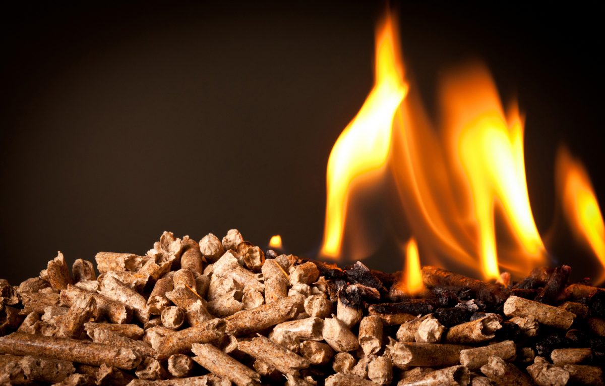 closeup image of wood pellets